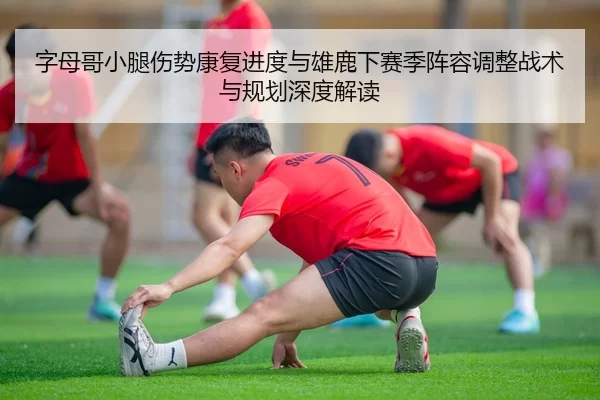 字母哥小腿伤势康复进度与雄鹿下赛季阵容调整战术与规划深度解读